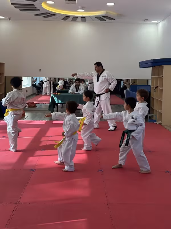 Taekwondo
