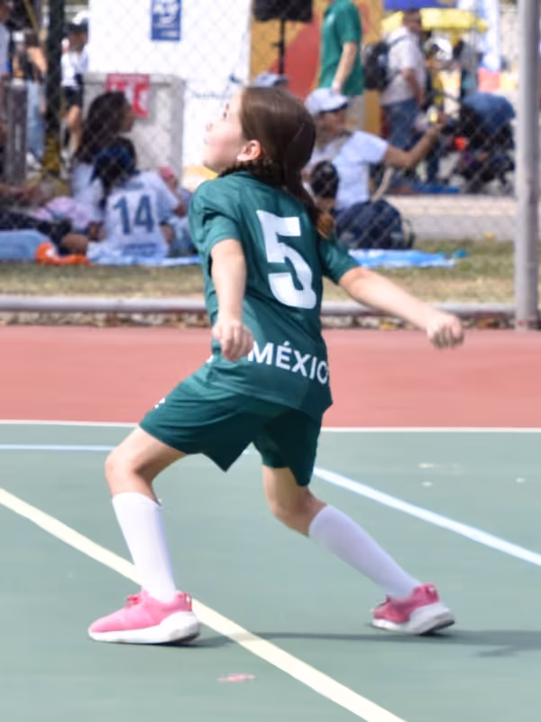 Volleyball